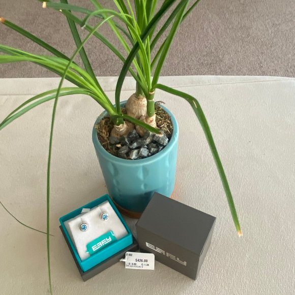 Effy Earrings - Picture 1 of 5